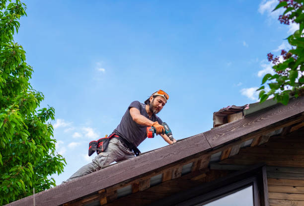 Best Storm Damage Roof Repair  in Mound, MN