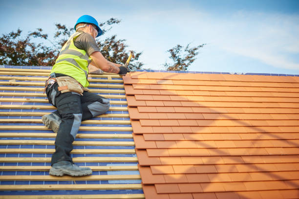 Best Rubber Roofing (EPDM, TPO)  in Mound, MN